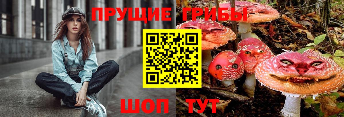 Галлюциногенные грибы Psilocybe  Галлюциногенные грибы MAGIC MUSHROOMS  магазин    Биробиджан  Вход с VPN 